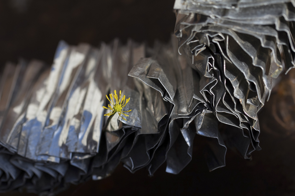 Platz 9 Willi Bitzer